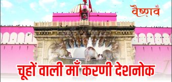 चूहों वाली माँ करणी देशनोक